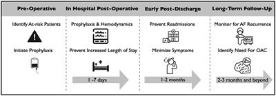 Post-operative atrial fibrillation after cardiac surgery: Challenges throughout the patient journey